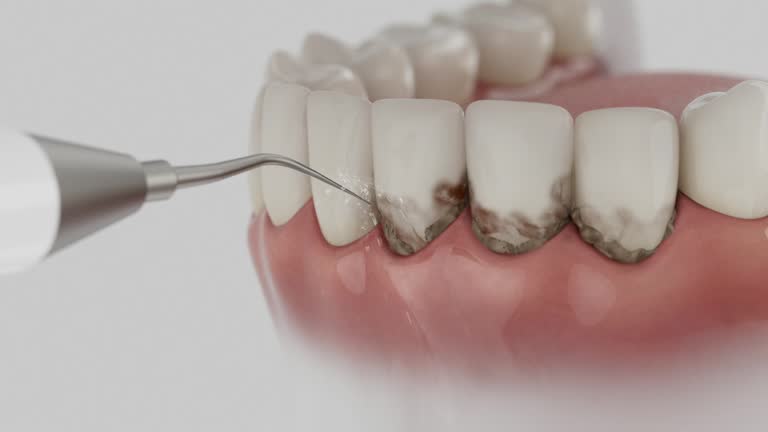 Reliable Dental contractor in Georgetown County County, SC by Dentist Open Now